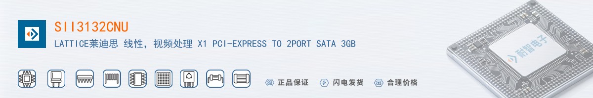 SII3132CNU������
