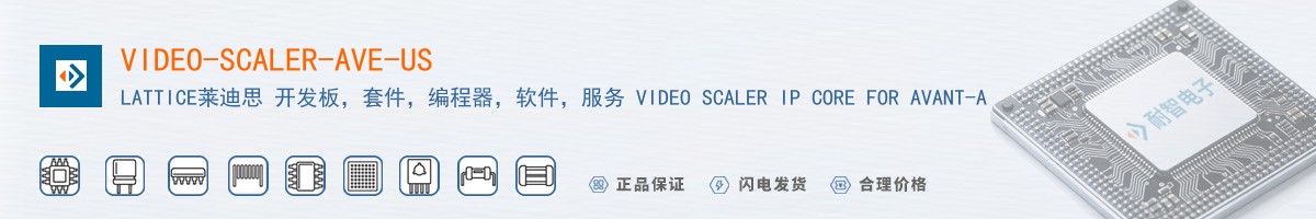 VIDEO-SCALER-AVE-US������