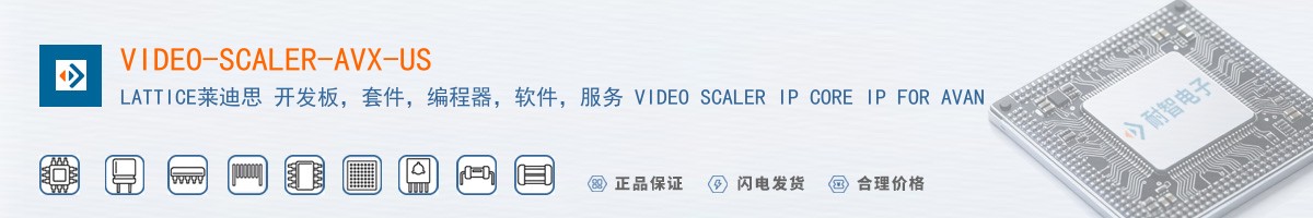 VIDEO-SCALER-AVX-US������