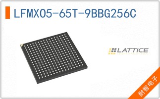 LFMXO5-65T-9BBG256C