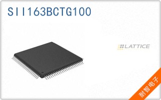 SII163BCTG100